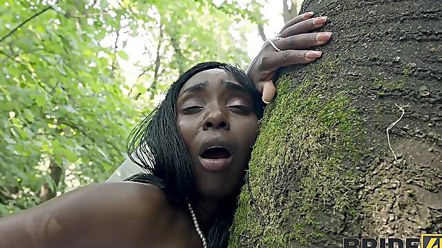 Zaawaadi - Forest Of Wonders And Inescapable Lust