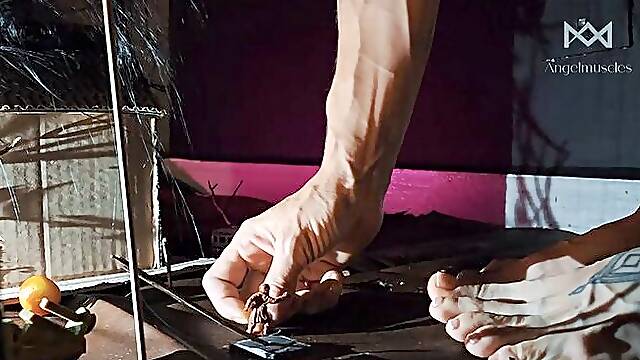 Angel Muscles: The Giantess of Halloween