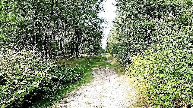 Only One Tit Punished in Public